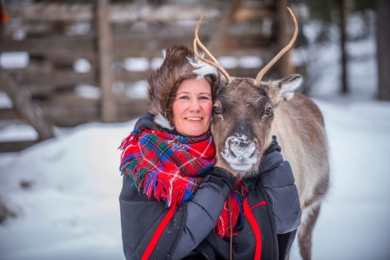 Les Samis et leurs rennes en Laponie