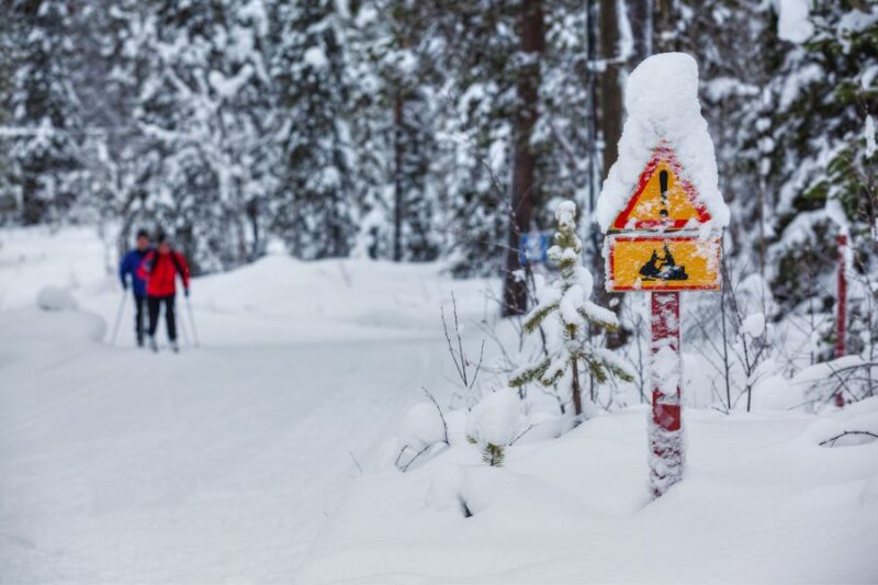 Excursion en motoneige avec Nordic - règles de sécurité