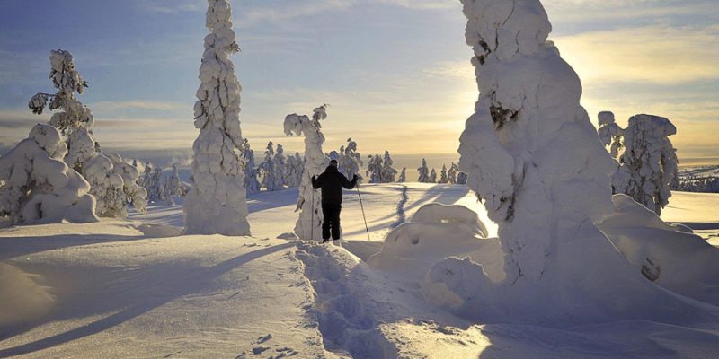 Langlaufen in Akaslompolo Finland