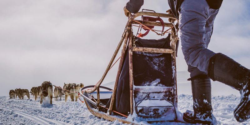Meerdaagse huskytocht Lapland