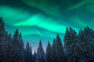 Ontdek het Noorderlicht in Lapland in de winter - reizen met Nordic