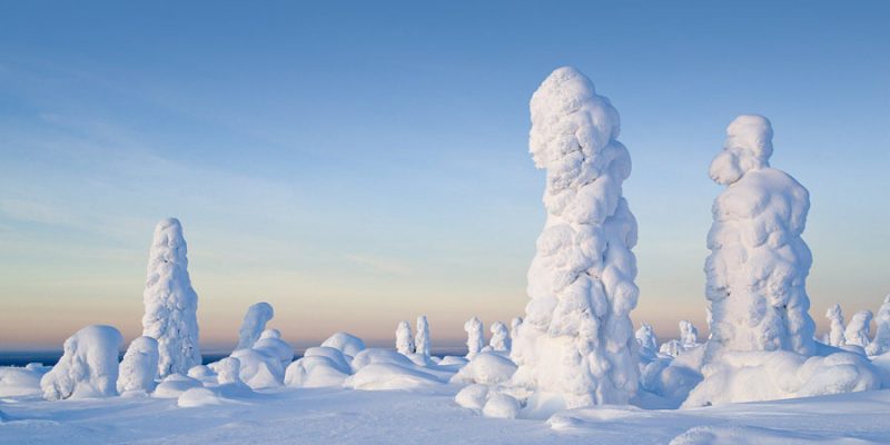 Winter landschap in Lapland
