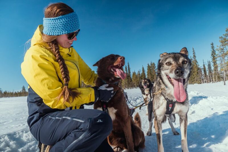 Vrouw knuffelt met husky's in Lapland