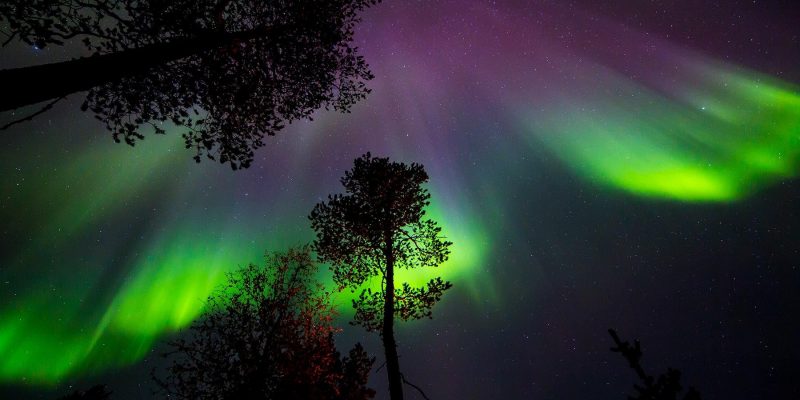 Noorderlicht-boven-de-bomen-in-Lapland