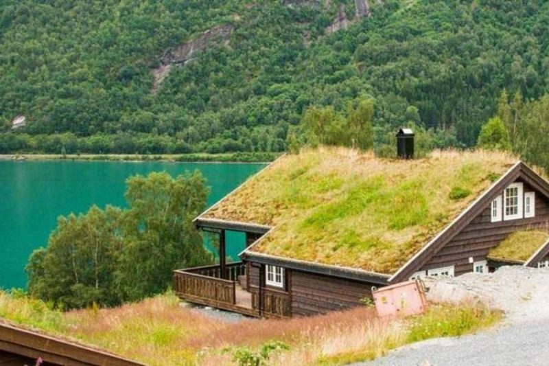 Maison de vacances avec toit d'herbe sur le fjord - Norvège avec Nordic