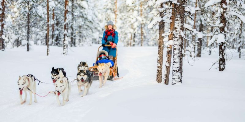 Huskytocht in Winters Lapland met Nordic