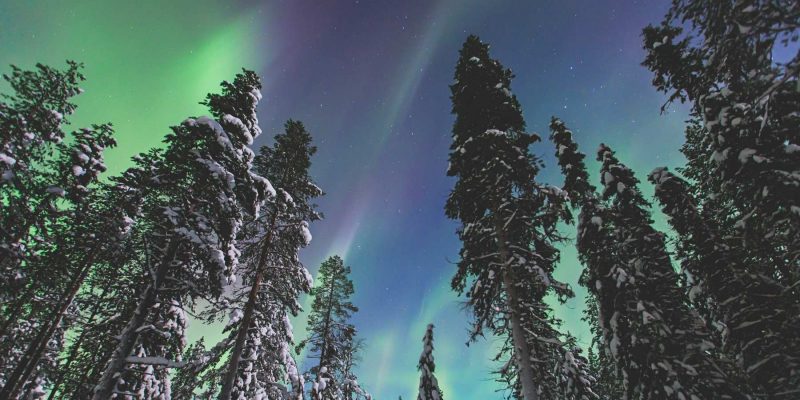 Lapland noorderlicht met Nordic