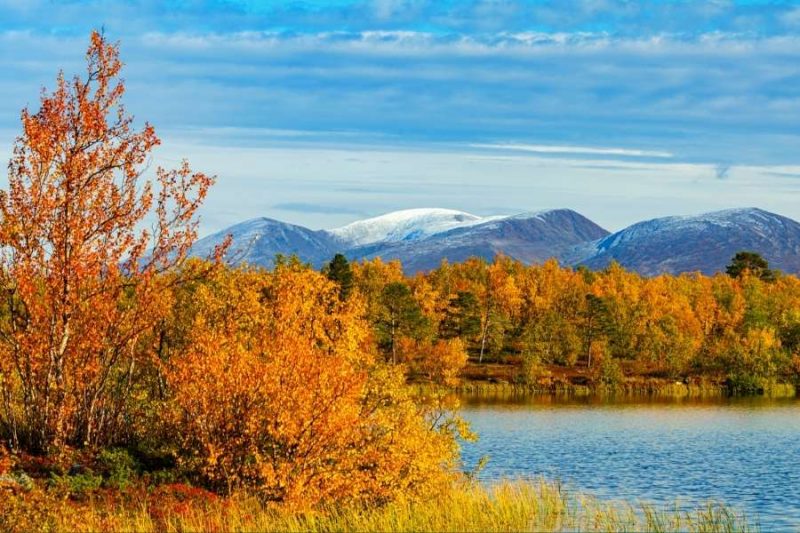 Abisko nationaal park Lapland - reizen met Nordic