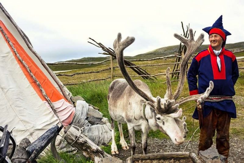 Sami en rendier Lapland zomer - reizen met Nordic