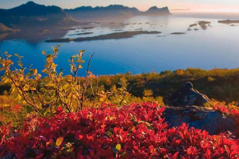 Herfstkleuren in Lofoten ©Nordnorge