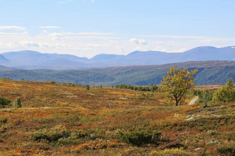 Platteland landschap in Noorwegen met Nordic