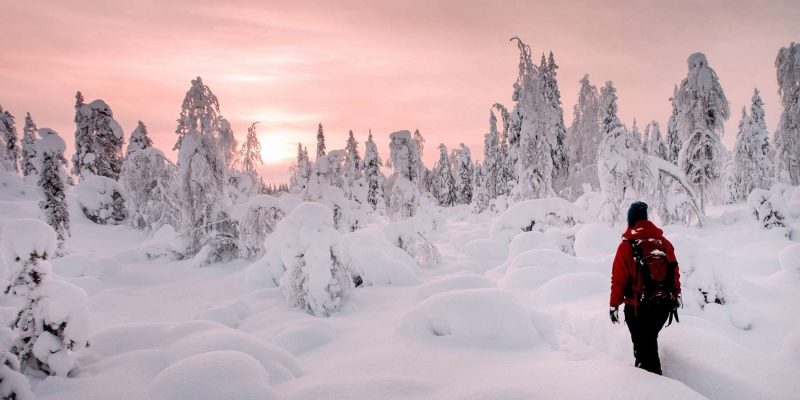Wandelen in winters Lapland - reizen met Nordic