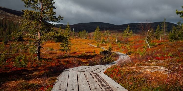 Een kleurrijk wandelpad in Finland