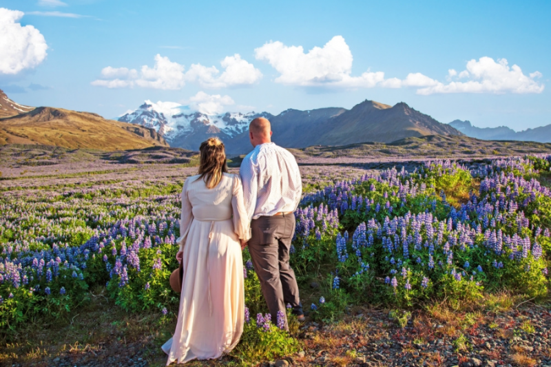 Fotograferen van een koppel in een veld met lupines op IJsland