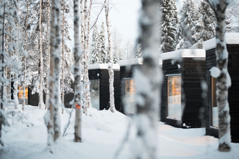 Vaattunki Wilderness Resort - Laponie
