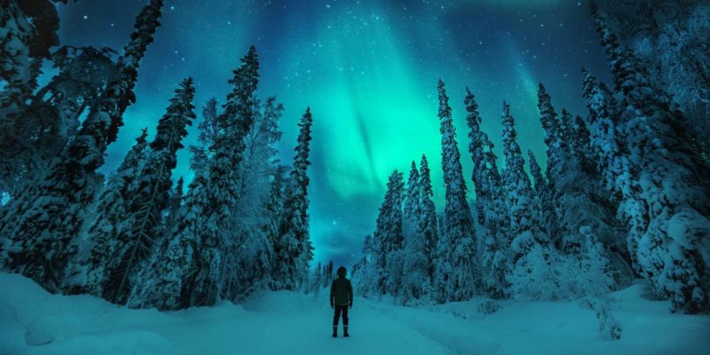 Noorderlicht in een besneeuwd bos in Lapland