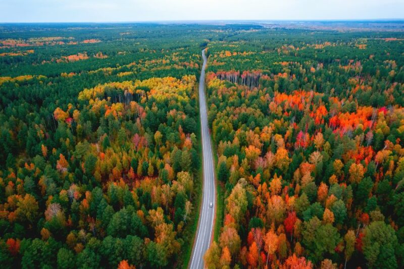 Luchtfoto bossen landschap in Zweden met Nordic