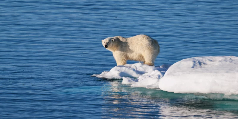 Foto Willemke Fotografie