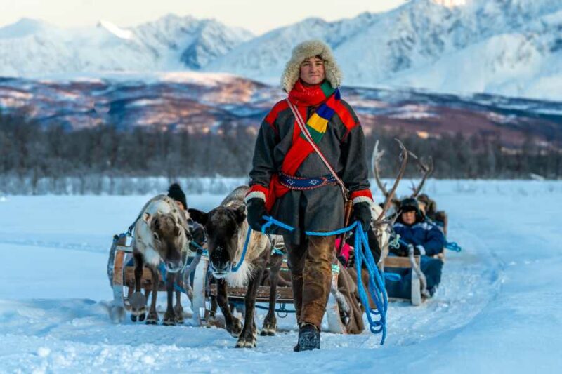 Begeleide sleetocht met rendieren Rovaniemi