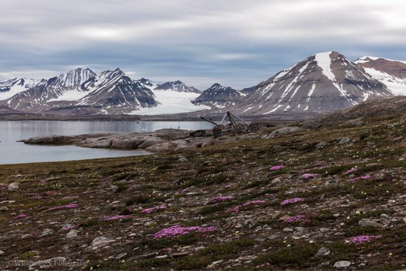 Willemke's Fotografie 7