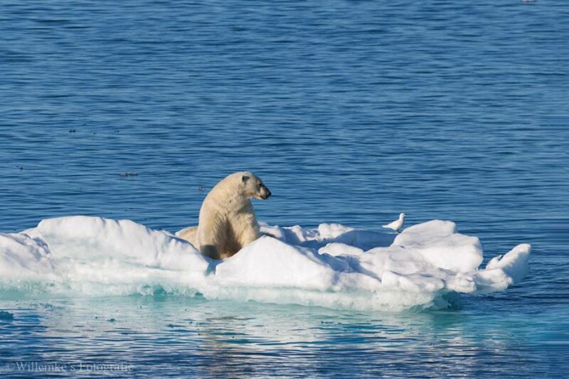 Willemke's Fotografie 6