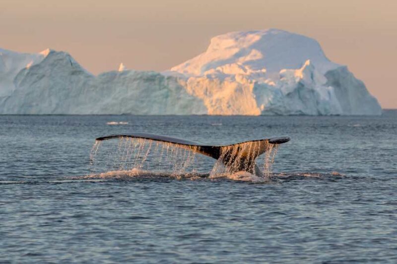 Plus beaux voyages en mer