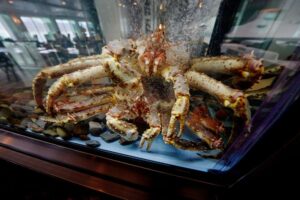 Voyage en mer Hurtigruten avec Nordic