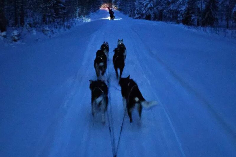 Husky sleerit in Zweeds Lapland©Anne-Fritsch