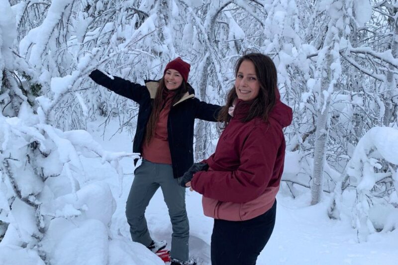 Laponie avec Nordic - arbres enneigés