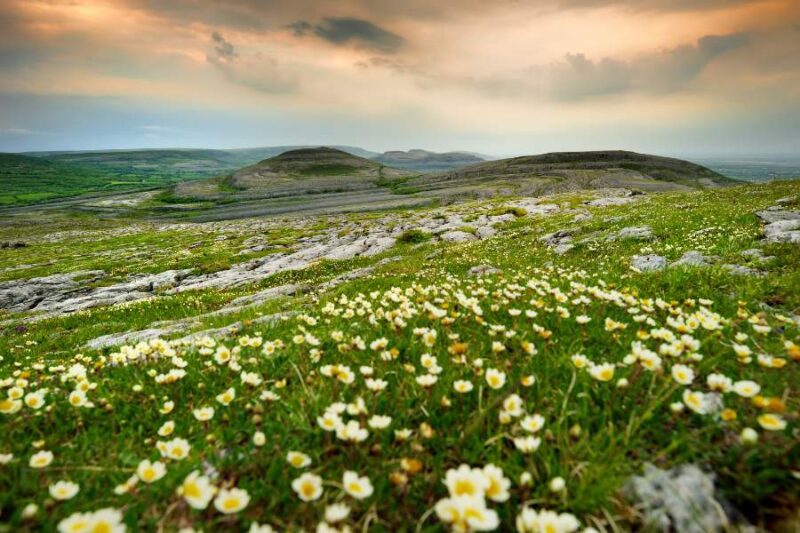 The Burren - Ierland