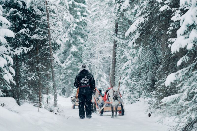 Kaamos Lodge, Laponie finlandaise avec Nordic