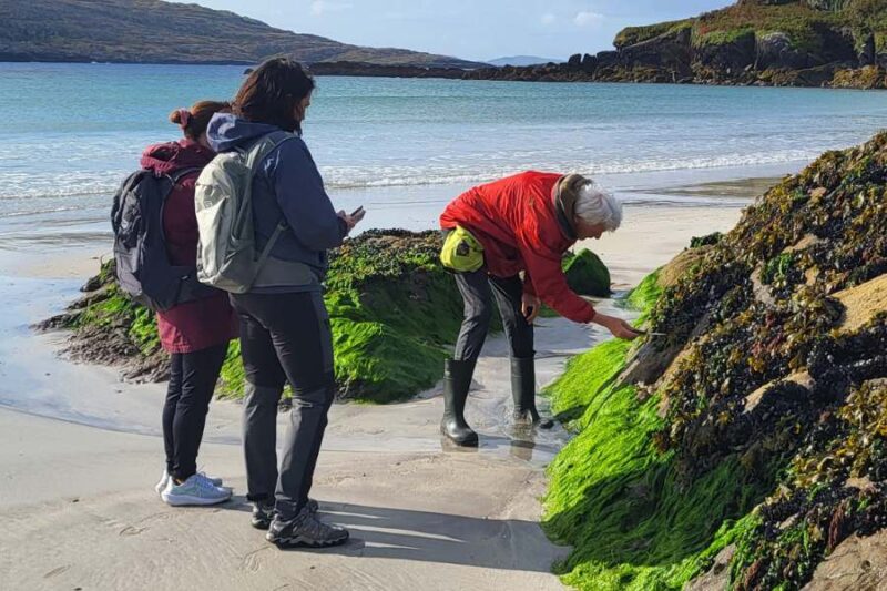 Zeewiersafari Ierland