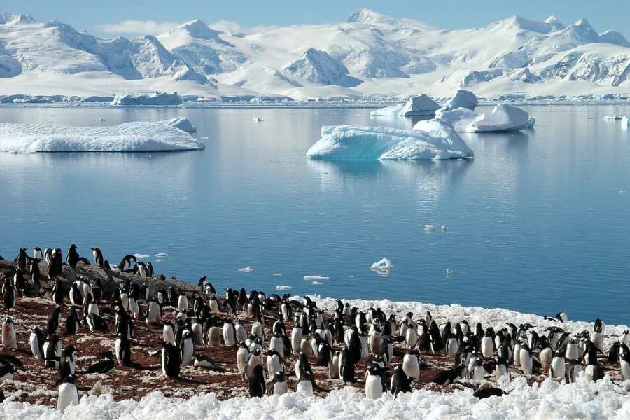 Ontdek Antarctica met Nordic