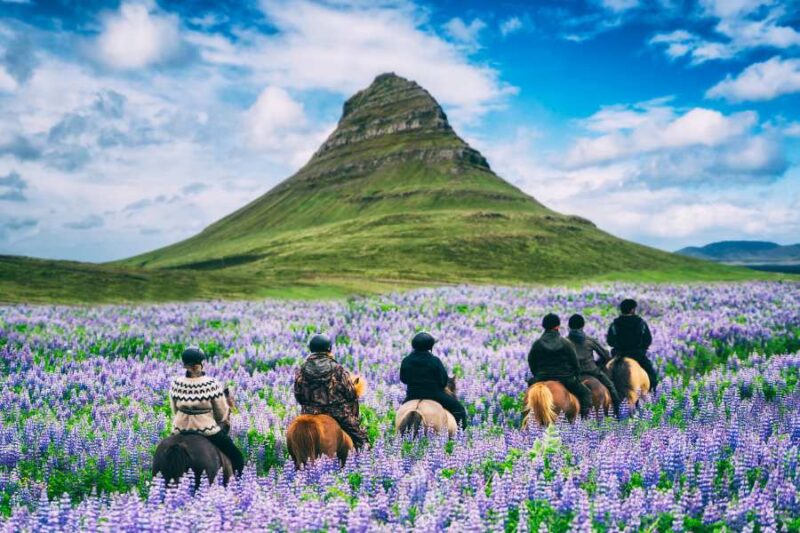 Vacances en famille avec enfants en Islande à cheval
