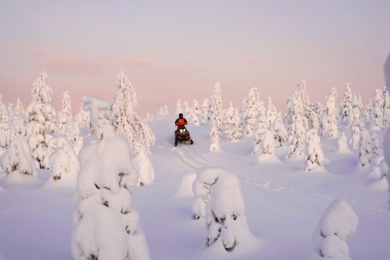 Sneeuwscooter rijdt door besneeuwd landschap in het roze Kammos licht in Lapland met Nordic, de Scandinaviëspecialist