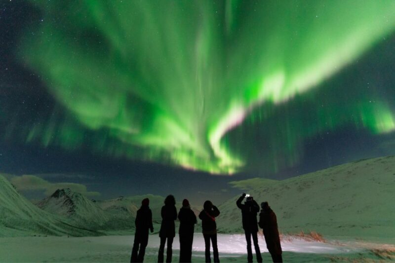 Een groep reizigers bewondert het noorderlicht in winters Lapland tijdens een groepsreis met Nordic.